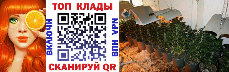 Бошки Шишки Чаплыгин