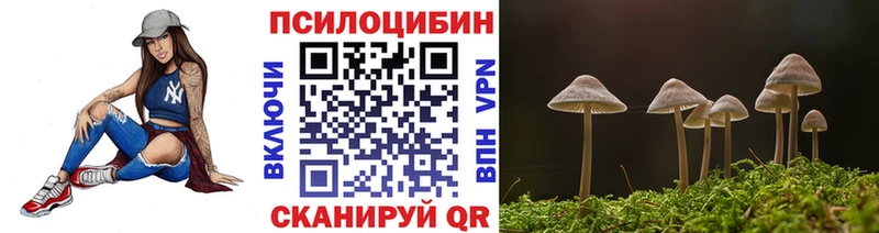 Галлюциногенные грибы Psilocybine cubensis  Купить  Чаплыгин 